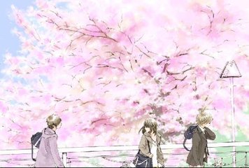 蘑菇社区官网入口